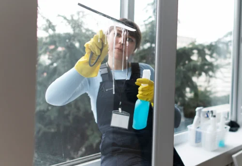 Nettoyage de vitres intérieures et extérieures à Boischampré